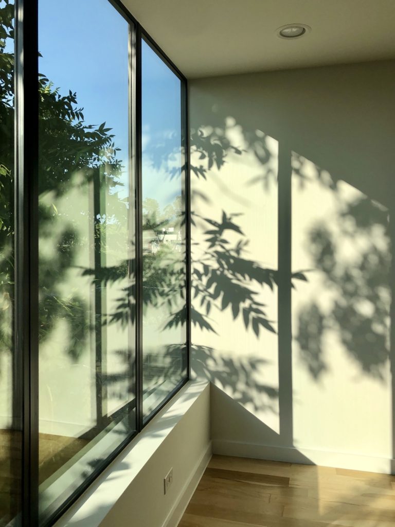 Baie vitrée d'angle et ombres de feuillage projetées sur un mur clair