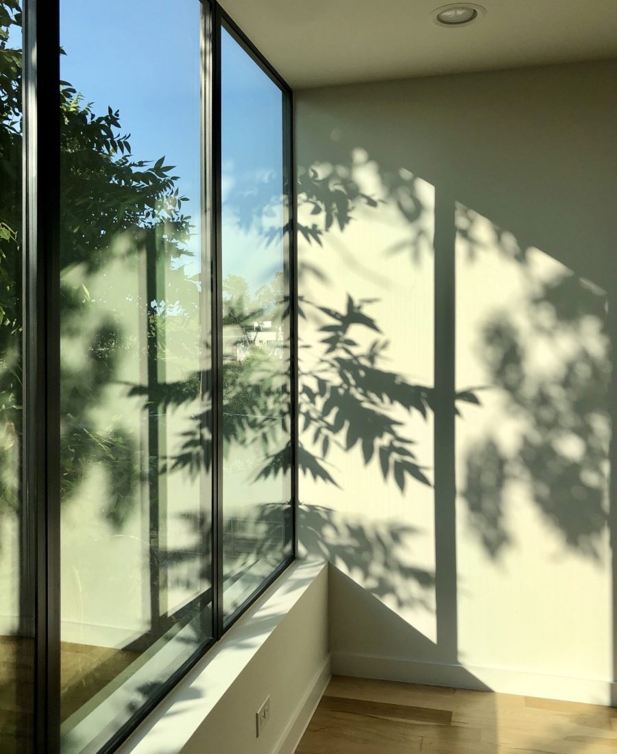 Baie vitrée d'angle et ombres de feuillage projetées sur un mur clair